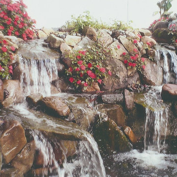 Florida Friendly Landscaping