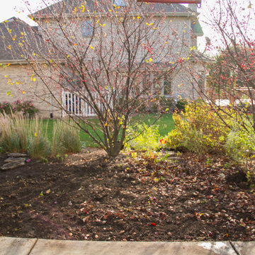 Backdoor Pond