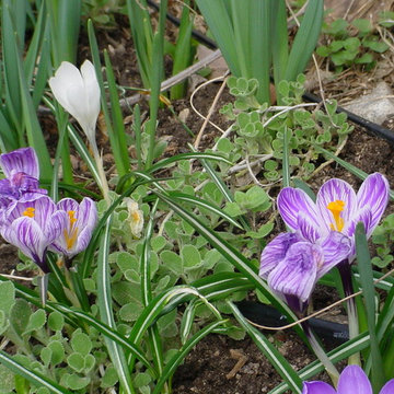 Unforgettable Bulb Display