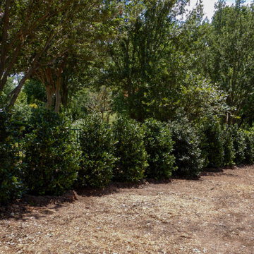 Privacy Screens