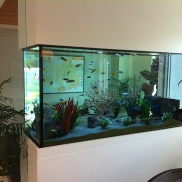 Beautiful Built-in Peninsula Style Aquarium