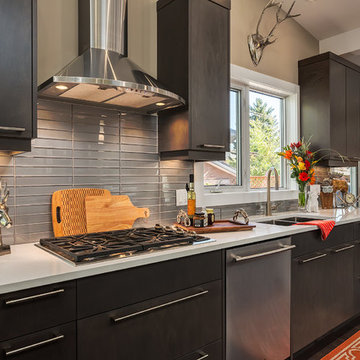 Modern Kitchen Renovation