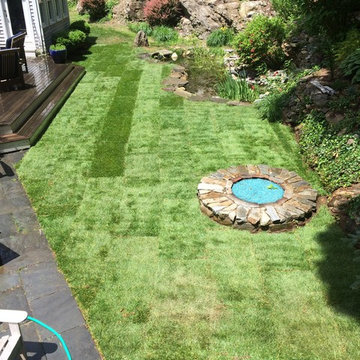 Sodding of Dog Damaged Yard - Madison