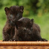Amber Hartley's photo