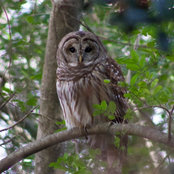 Pam Davis's photo