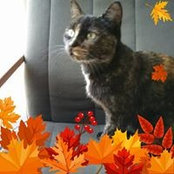 Isabelle Plouzane's photo