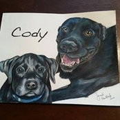 Tom Quigley's photo