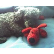 Chris Johnson's photo