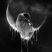 Bev Lake's photo