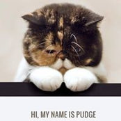 Jodi Pudges foto