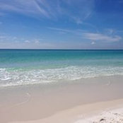 Jenna Gourd's photo