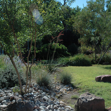 Xeriscape in Albuquerque, NM