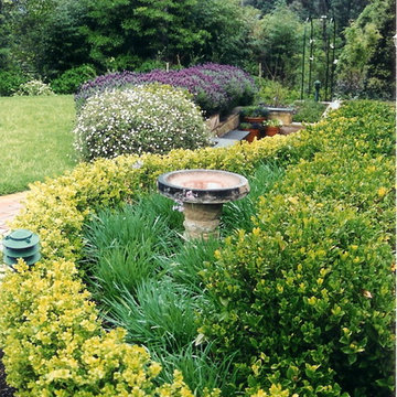 Plant combinations