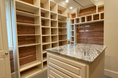 Inspiration for a large contemporary gender-neutral carpeted, gray floor and shiplap ceiling walk-in closet remodel in Other with white cabinets and raised-panel cabinets