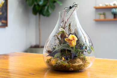 Houzz DIY: Halloween Terranium