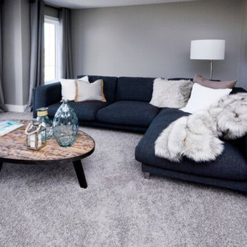 Action Flooring - Cozy carpet - Edmonton, AB