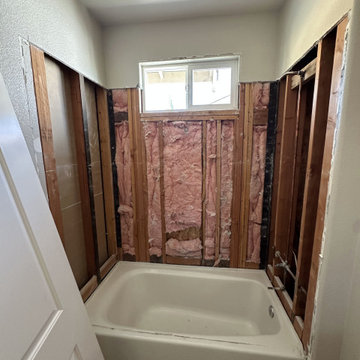 Green Subway Bathroom Remodel, Rocklin