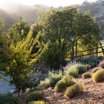 Meditation Garden