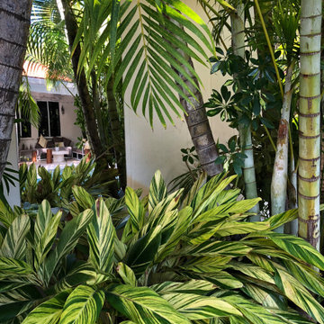 Urban Retreat near Downtown Miami