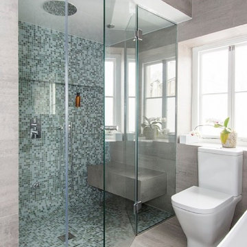 Steam Shower Room with Glass Enclosure