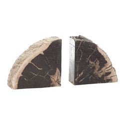 PETRIFIED WOOD BOOKENDS - Bookends