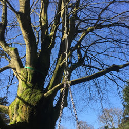 Nest Swing suspended group swing by Treehouse Life Ltd. - Garden Swing Seats