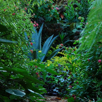 Miami Landscape Design Ideas