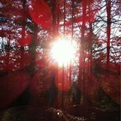 Kim Nash's photo