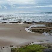 Deb Fryers's photo