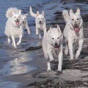 Sabine Sturm's photo