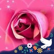 Michelle Neno's photo