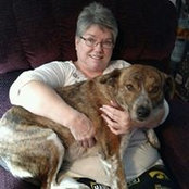 Karen Schwerdtfeger's photo