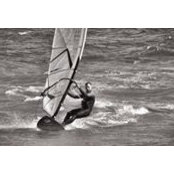 Marco Scavia's photo