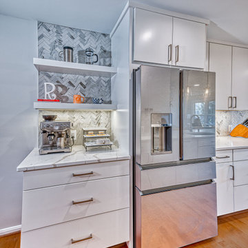 Oakton Contemporary Kitchen Remodel