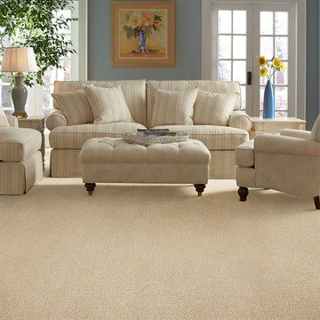Dabbieri Collection