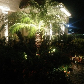Landscape and Architectural Lighting
