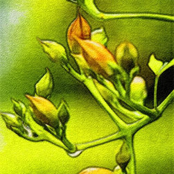 Fine Art Photography - Digital paintings - Products