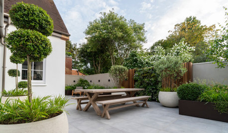 Leafy Outdoor Rooms Create an Inviting Backyard for Entertaining