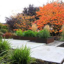 Lower Patio