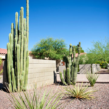Desert Contemporary