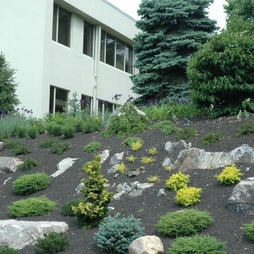 Corporate Park slope after rock placement and planting