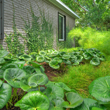 Natural Shade Garden