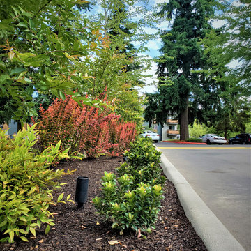 NEW LANDSCAPE DESIGN