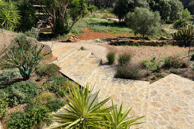 Photo of a mediterranean landscaping in Other.