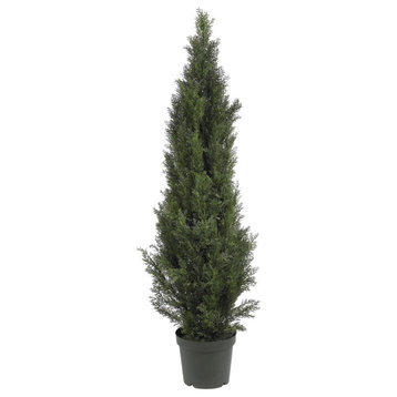 5' Mini Cedar Pine Tree, Indoor and Outdoor