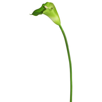 Artificial Large Stem Calla Lily , White, Green, 28"