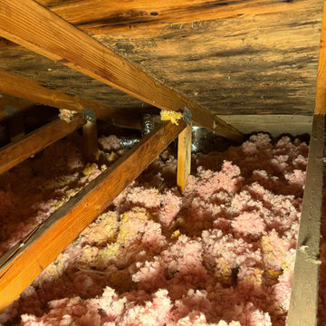 Mold Remediation Service in Attic