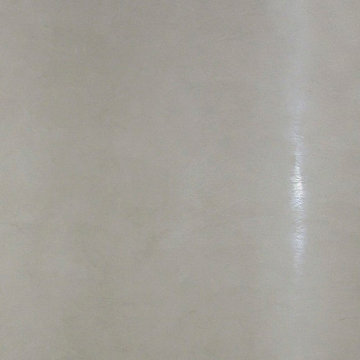 Venetian Plaster