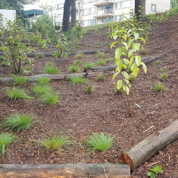 Conservation Landscaping