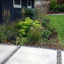 Landscape Ideas
